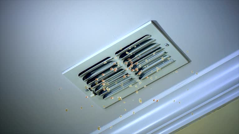 Affordable HVAC Duct Cleaning in Hinton, WV